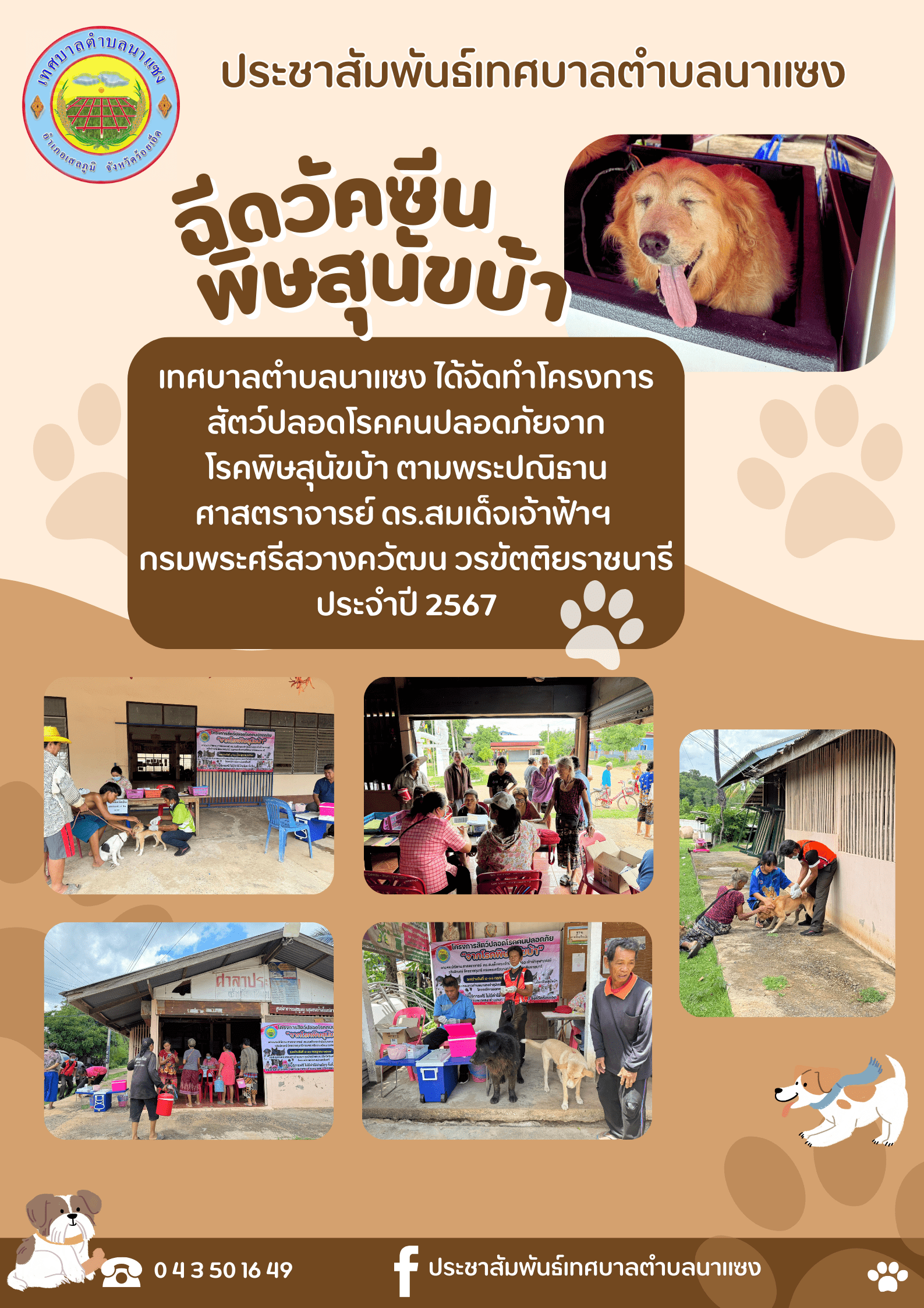 พิษสุนัขบ้า 1